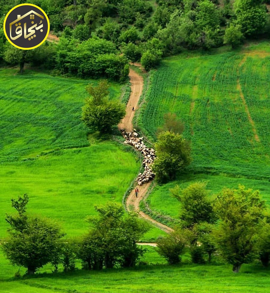 نکات خرید باغ در چهاردانگه